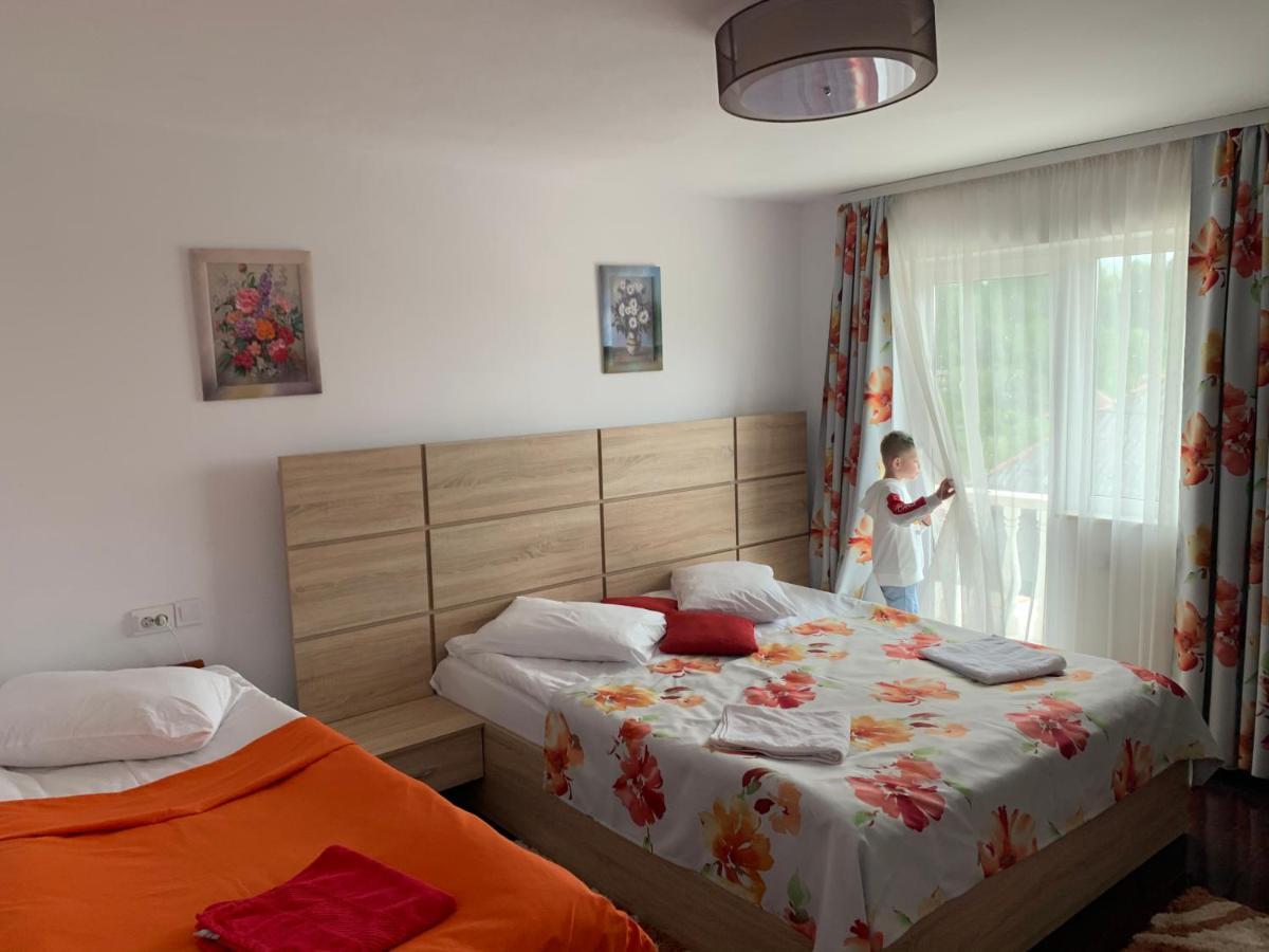 Vila Club Dioda Cicanesti Екстериор снимка